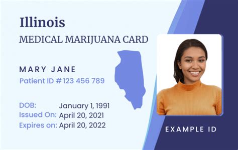 Can I Print My Illinois Medical Card Online: A Detailed Discussion