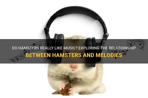 Do Hamsters Like Music? And Can They Dance to the Beat of a Cucumber?