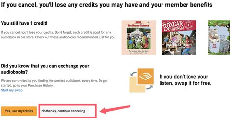 Do I Keep My Books If I Cancel Audible: A Detailed Exploration